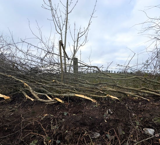 ACRES farmers attend hedgerow management workshop