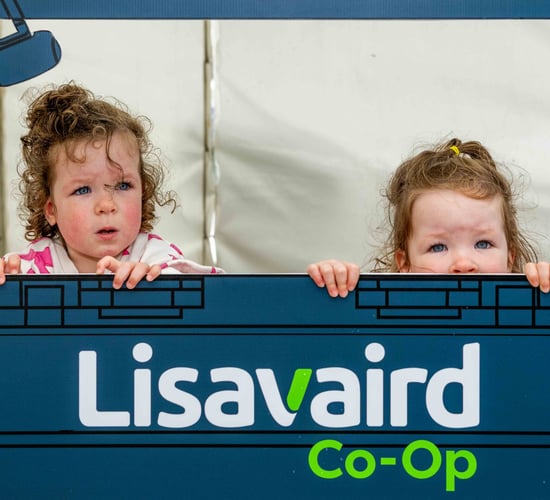 In Pictures: Lisavaird welcomes locals for centenary celebration