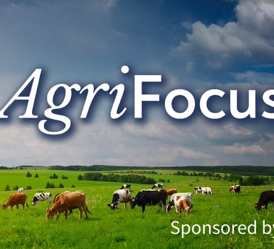 Listen: AgriFocus - General Election 2024 - How important is the rural vote?
