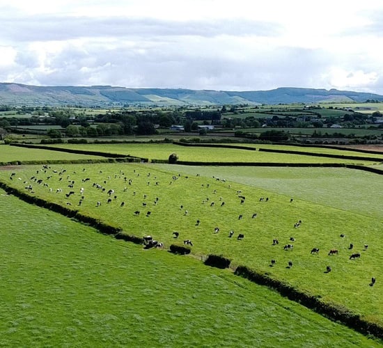 Sinn Féin: Little for farming families in Budget 2023