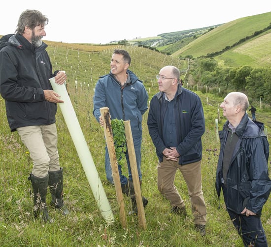 Agroforestry event outlines the benefits of silvopasture