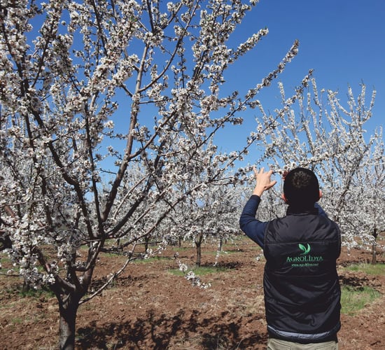 Agricultural land investment in Turkey
