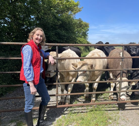 Irish Rural Link acquires farm safety education platform AgriKids