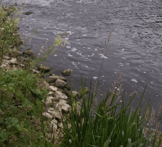 'Save the Boyne' to walk in protest against Dawn Meats' wastewater plans