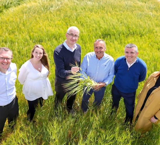 Diageo unveils plans for €200m carbon neutral brewery