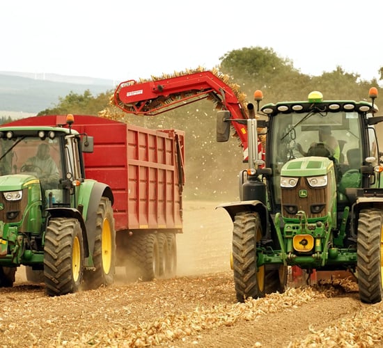 Onions and innovation bring success to Co. Cork grower