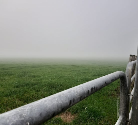 Met Éireann warns of widespread mist and fog