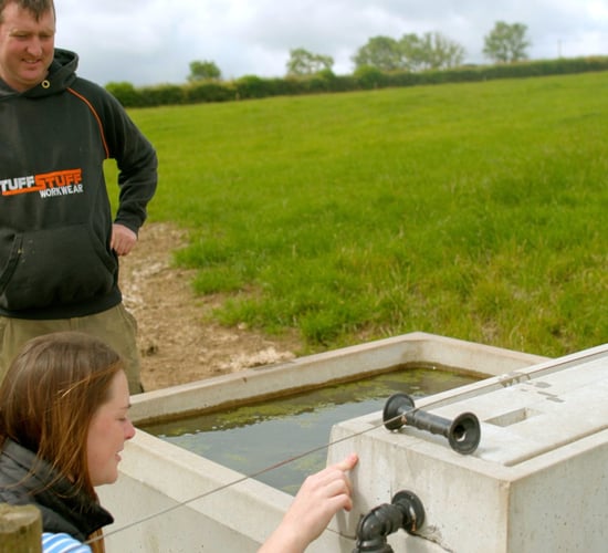 Kilkenny herd improves after water system upgrade