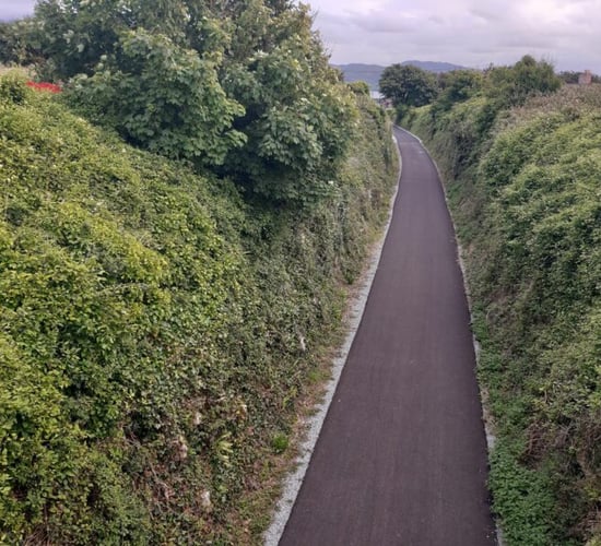 Watch: 'There should be no CPOs' when it comes to greenways - Fitzmaurice