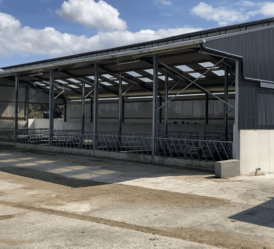 Buildings Focus: 6-bay slatted shed for Kilkenny suckler-to-beef farm