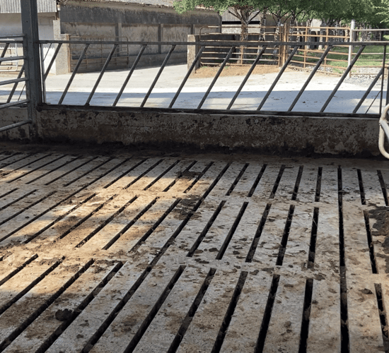 Condition of slats and manhole covers: Are they fit for purpose?