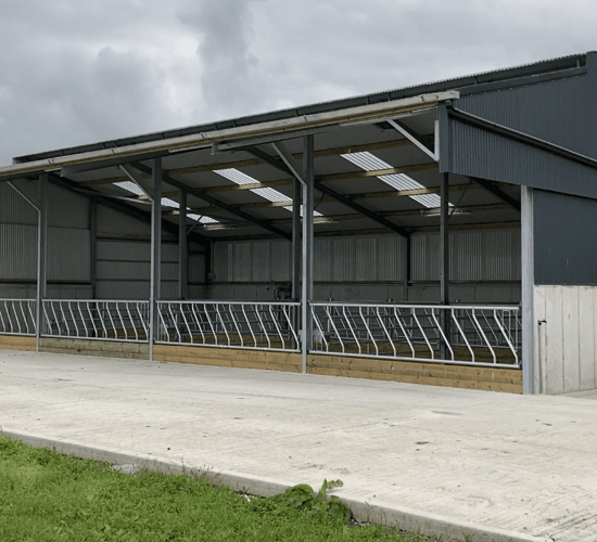 Buildings Focus: 4-bay slatted shed in Sligo for suckler-to-beef farm