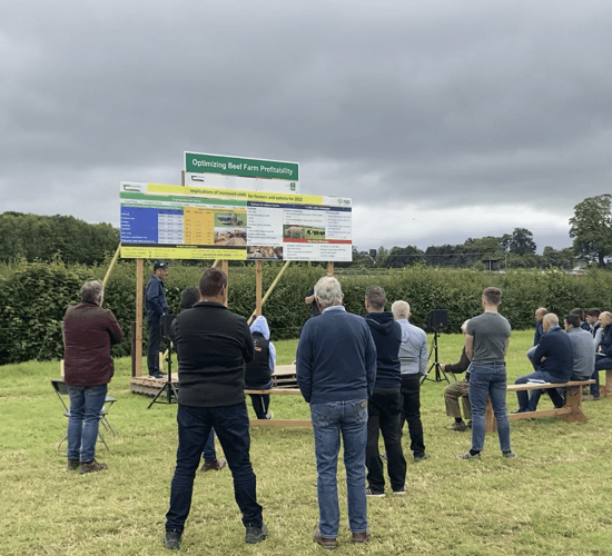 Pics: Inside Teagasc BEEF2022