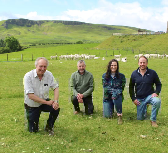 Wicklow group visits EasyCare sheep operation in Co. Antrim