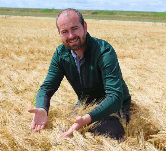 What constitutes the effective management of straw?