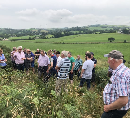 Bovine TB 'is becoming concentrated' within the dairy herd
