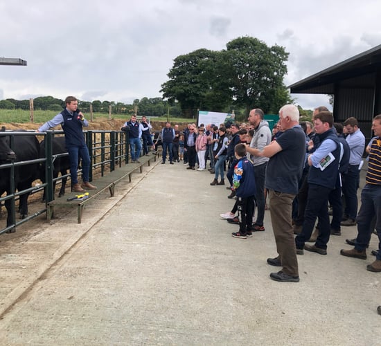 ABP Demo Farm: 'Genetics should determine calf price, not looks'