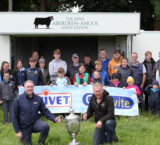 Aberdeen Angus all-Ireland set for Oldcastle this Sunday