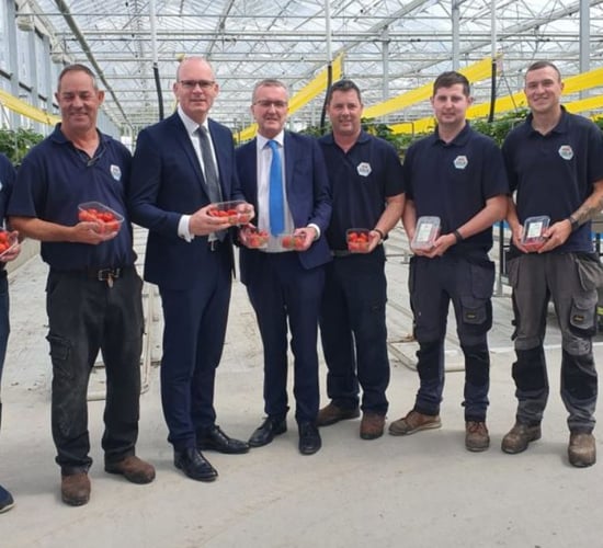 Horticulture: 'Severe pressure' on growers outlined to Coveney at meeting