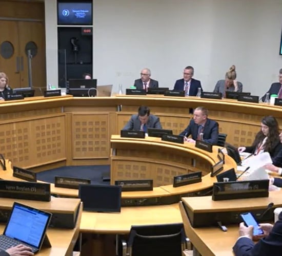 Irish delay in supporting AD sector outlined to TDs and senators