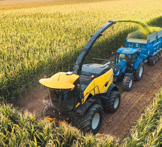 'Exceptionally high' starch levels claimed in 2025 forage maize crops