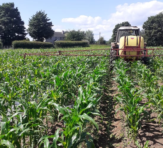Circular nitrogen potential explored in new research