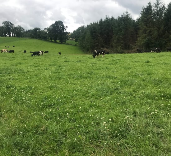 Farm succession planning on Co. Meath dairy farm