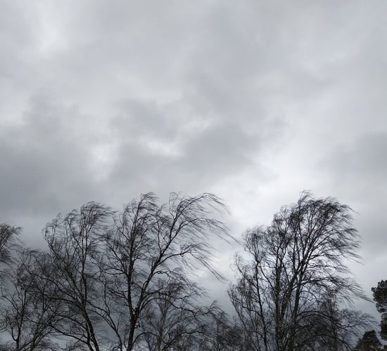 Snow, ice, rain and wind warnings issued for many counties