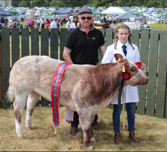 If beef is too dear, consumers will stop buying it - livestock farmer