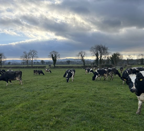 Grass growth improves and time for sulphur in swards