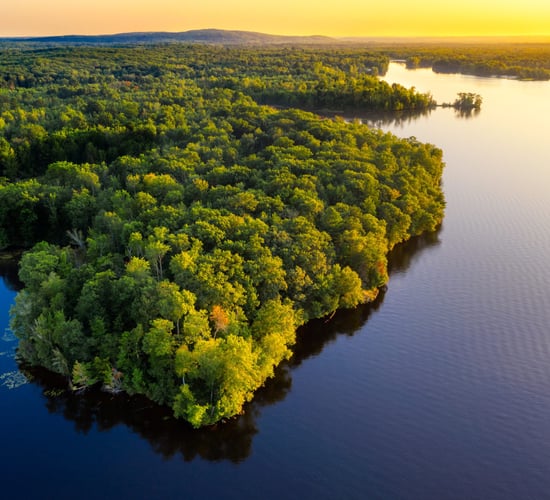 Earth Overshoot Day: Half of earth's biocapacity used for food production