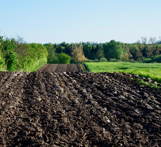 CSO: 58,645ac of agricultural land sold in 2021