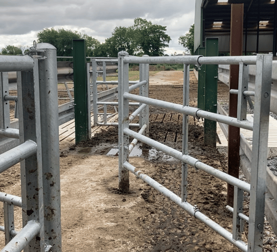 Heydon to 'move quickly' to 'refine' TB Eradication Programme