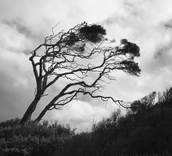 Storm Floris advisory issued for Bank Holiday Monday