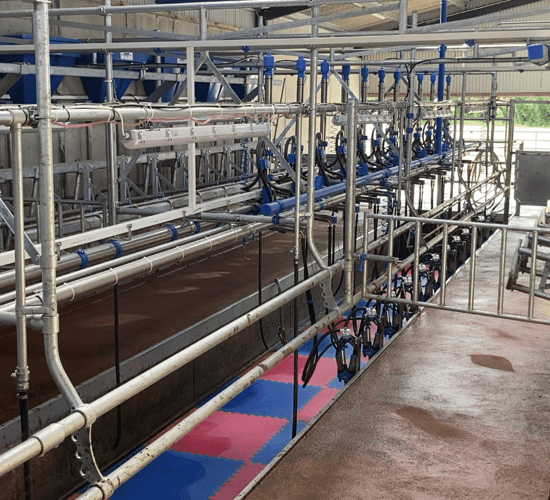 Buildings Focus: 12-unit parlour for a 52-cow herd in Westmeath
