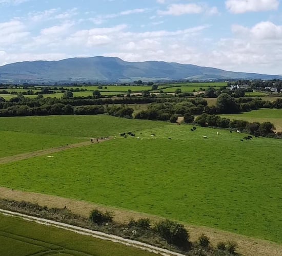 Carrick-on-Suir farm 'one of finest on market'