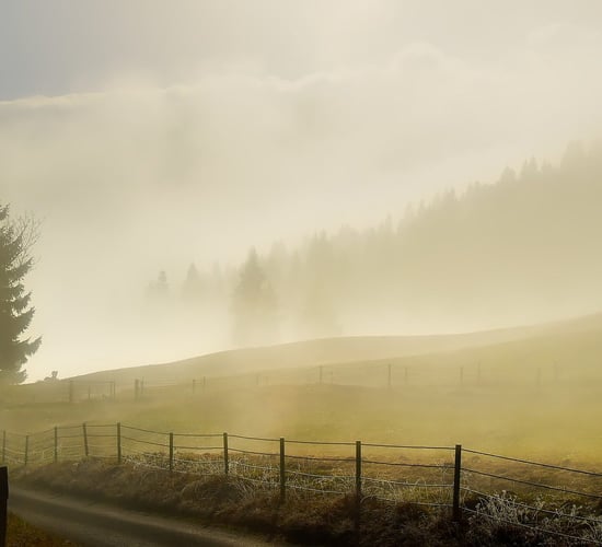 €2.1m approved by EU Commission to support  Slovenian farmers