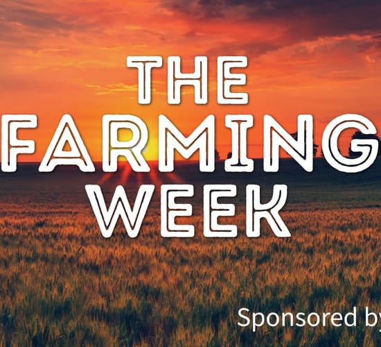 The Farming Week: Farmers protest GAEC 2, TAMS tranche for storm damage, barley growers seek support