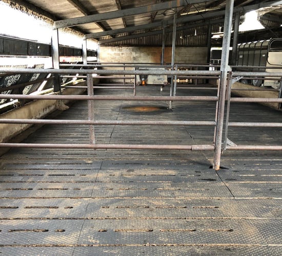 Floor type: 'Rubber mats seem to be a happy medium'