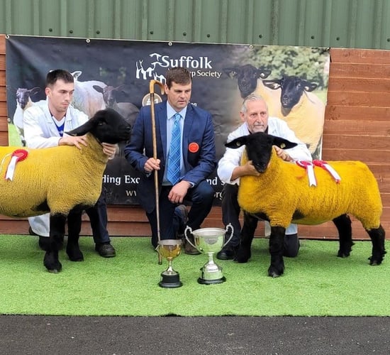 Suffolk premier sale: Export trade down but no shortage of quality