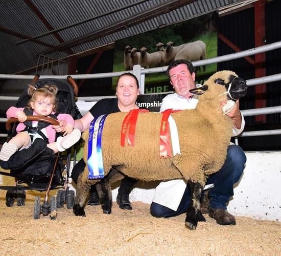 Record prices achieved at the Hampshire Down premier sale in Tullow