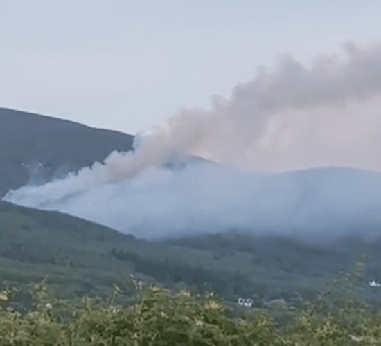 Fire crews tackle forest fire in Wicklow