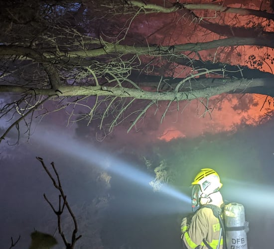 Two firefighters injured while battling Dublin gorse wildfire