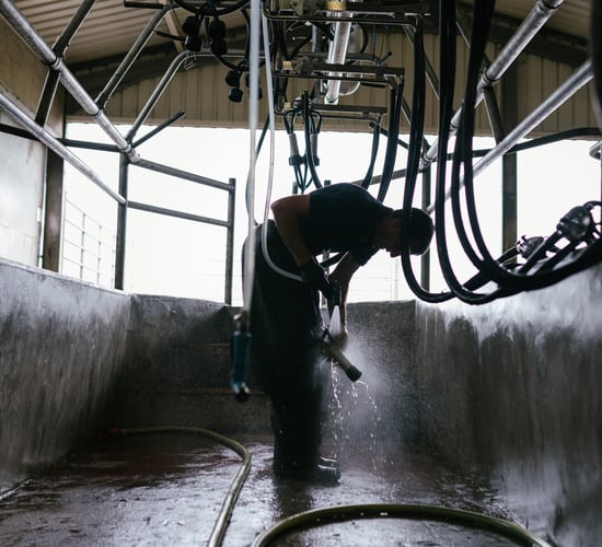 Quality Milk Awards series: From pharmacy to parlour