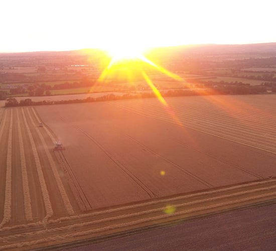 Teagasc tillage conference to focus on future challenges
