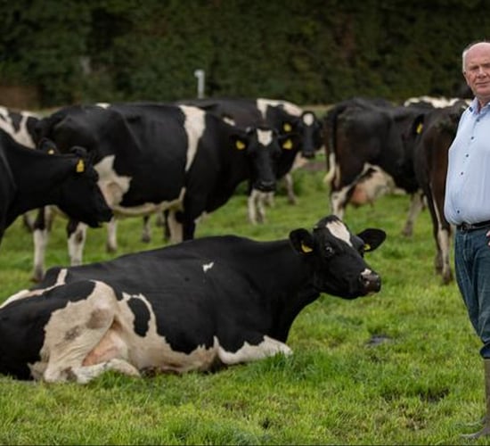Cahill: 'Extend the deadline for spreading chemical nitrogen'