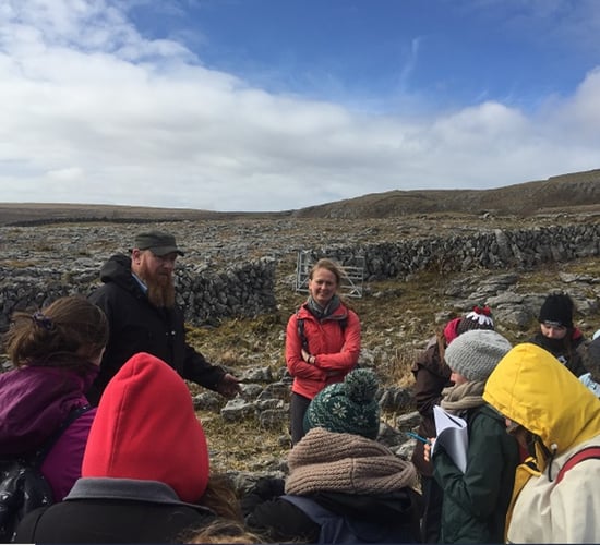 Farm walk to highlight beef farming in the Burren this weekend
