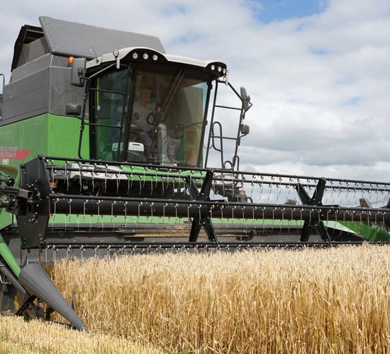 Call for further expansion of Irish tillage sector
