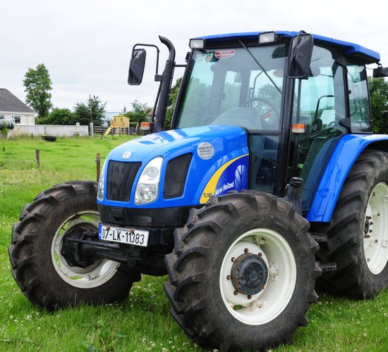 100% clearance at Oola sale for Munster Auctions