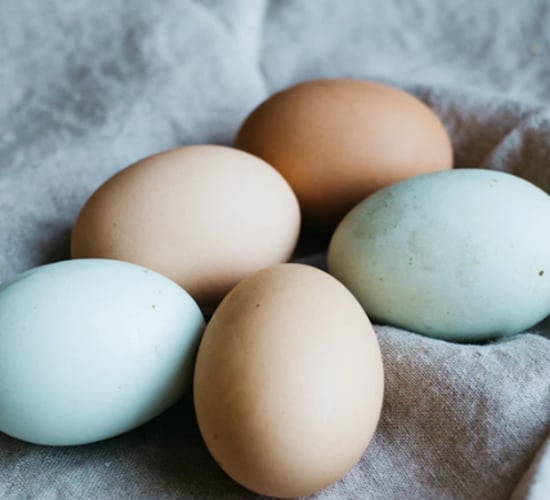 FSAI issues warning on cooking duck eggs amid salmonella concerns